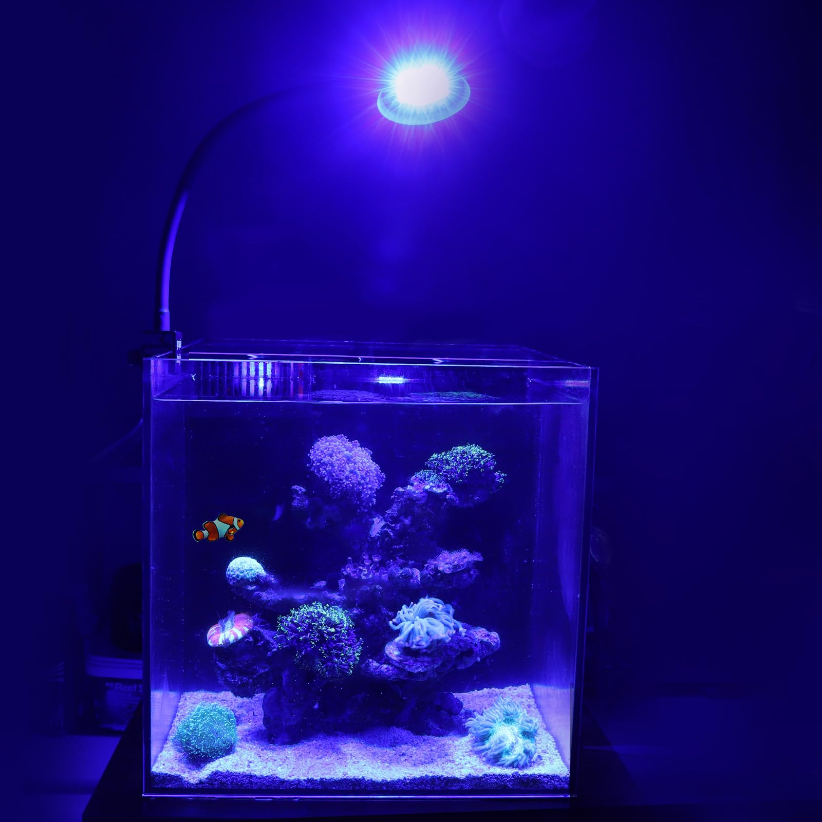 Amazon.co.jp: hygger 海水魚ライト サンゴライト 30-50cm水槽に適合